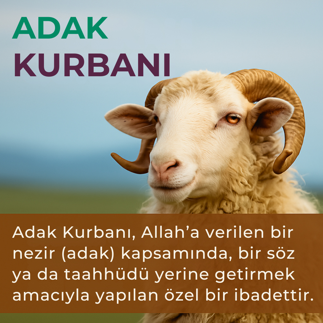 Adak Kurbanı