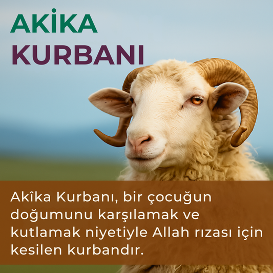 Akika Kurbanı